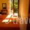 Vicky Apartments_best deals_Apartment_Ionian Islands_Lefkada_Lefkada Rest Areas