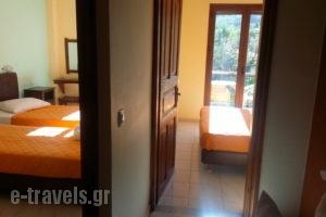 Vicky Apartments_lowest prices_in_Apartment_Ionian Islands_Lefkada_Lefkada Rest Areas