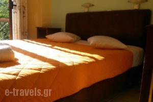 Vicky Apartments_accommodation_in_Apartment_Ionian Islands_Lefkada_Lefkada Rest Areas