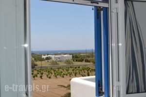 Joanna Apartments_best prices_in_Apartment_Cyclades Islands_Naxos_Naxos Chora
