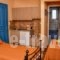 Mainades Maisonettes & Studios_best prices_in_Room_Cyclades Islands_Andros_Andros Rest Areas