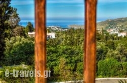 Mainades Maisonettes & Studios in Andros Rest Areas, Andros, Cyclades Islands