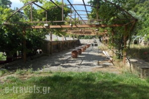 Ktima Spanou_holidays_in_Room_Aegean Islands_Ikaria_Ikaria Rest Areas
