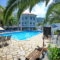Dolphin_lowest prices_in_Hotel_Sporades Islands_Skopelos_Skopelos Chora