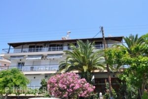Kalogeraki Studios_accommodation_in_Hotel_Aegean Islands_Thasos_Potos