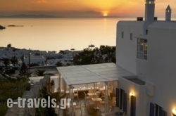 Damianos Mykonos Hotel in Mykonos Chora, Mykonos, Cyclades Islands