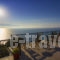 Aliki_accommodation_in_Room_Ionian Islands_Lefkada_Lefkada Chora