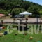 Kastra Apartements_best deals_Room_Thessaly_Larisa_Agia