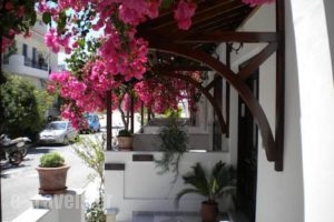 Angeliki_accommodation_in_Hotel_Aegean Islands_Samos_Ireon