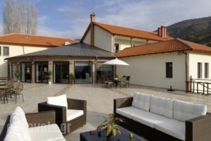 Hotel Mimallones_accommodation_in_Hotel_Macedonia_Florina_Psarades