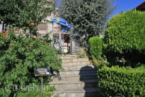 Naias_accommodation_in_Hotel_Macedonia_Halkidiki_Neos Marmaras