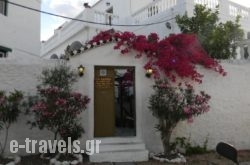 Villa Kalomira in Spetses Chora, Spetses, Piraeus Islands - Trizonia