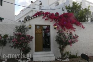 Villa Kalomira_accommodation_in_Villa_Piraeus Islands - Trizonia_Spetses_Spetses Chora