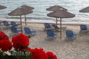Ammon Zeus_best deals_Hotel_Macedonia_Halkidiki_Kassandreia
