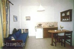 Markakis Studios_best prices_in_Apartment_Cyclades Islands_Sandorini_Fira