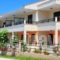 Dolphins_best deals_Hotel_Ionian Islands_Kefalonia_Karavados