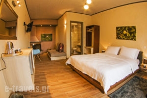 Livadi Suites_holidays_in_Hotel_Central Greece_Viotia_Arachova