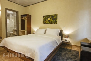 Livadi Suites_best deals_Hotel_Central Greece_Viotia_Arachova