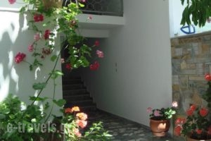 Loginos Studios_lowest prices_in_Hotel_Macedonia_Halkidiki_Kassandreia