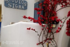 Sigma Studios on The Beach_holidays_in_Hotel_Cyclades Islands_Naxos_Naxos Chora