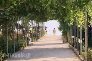 Belussi Beach_holidays_in_Hotel_Ionian Islands_Zakinthos_Zakinthos Rest Areas