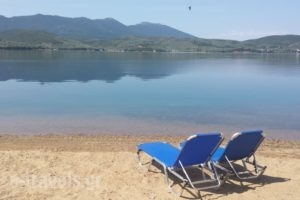 Marianthi Apartments_travel_packages_in_Thessaly_Magnesia_Milina