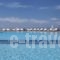 Orizontes Hotel & Villas_travel_packages_in_Cyclades Islands_Sandorini_Fira