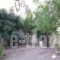 Pension Alkistis_best deals_Room_Peloponesse_Argolida_Tolo