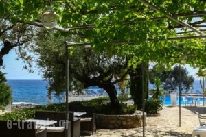 Cardamili Beach Hotel_lowest prices_in_Hotel_Thessaly_Magnesia_Pilio Area