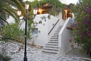 Hotel Manto_best deals_Hotel_Cyclades Islands_Paros_Naousa