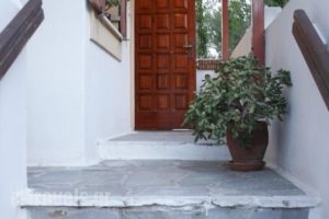 Hotel Manto_best prices_in_Hotel_Cyclades Islands_Paros_Naousa