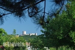 Dimitris Apartments_s __1