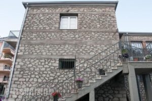 Host El Greco_best deals_Room_Thessaly_Trikala_Kalambaki