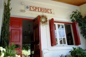 Esperides_accommodation_in_Apartment_Peloponesse_Messinia_Kardamyli