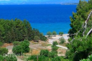 George & Sia's House_holidays_in_Hotel_Macedonia_Halkidiki_Neos Marmaras