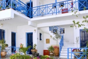 Electra Pension_accommodation_in_Hotel_Piraeus Islands - Trizonia_Aigina_Aigina Rest Areas