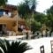 Wilde Rose_lowest prices_in_Hotel_Ionian Islands_Corfu_Dasia