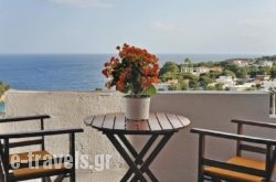 Pension Andromeda in Patitiri, Alonnisos, Sporades Islands