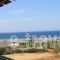 Dina Naxos Studios_holidays_in_Hotel_Cyclades Islands_Naxos_Naxos chora