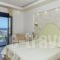 Frini Studios_lowest prices_in_Hotel_Aegean Islands_Lesvos_Plomari