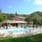 Phivos Hotel_accommodation_in_Hotel_Ionian Islands_Corfu_Palaeokastritsa