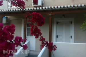 Theo Studios_best prices_in_Hotel_Piraeus Islands - Trizonia_Spetses_Spetses Chora