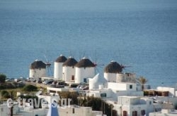 Constantina Zorz Xydakis in Mykonos Chora, Mykonos, Cyclades Islands