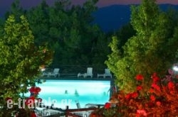 Bungalow - Camping Apollon_s __1
