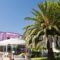 Vournelis Hotel_best prices_in_Hotel_Aegean Islands_Thasos_Thasos Chora