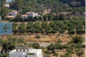 Liofyto Apartments_best prices_in_Apartment_Crete_Rethymnon_Aghia Galini