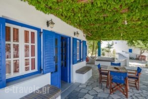 Despina Hotel_holidays_in_Hotel_Cyclades Islands_Naxos_Agia Anna