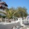 Pension Elena_best deals_Hotel_Ionian Islands_Zakinthos_Zakinthos Chora