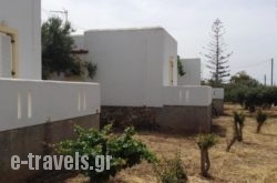 Galaxy Apartments in Antiparos Rest Areas, Antiparos, Cyclades Islands