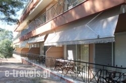 Mango Hotel_s __1